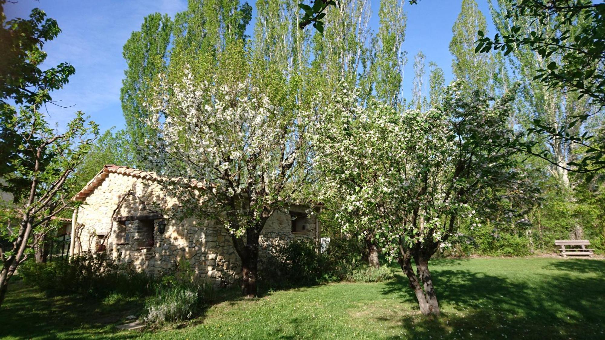 Les Maisons De Chante Oiseau Sigonce Стая снимка