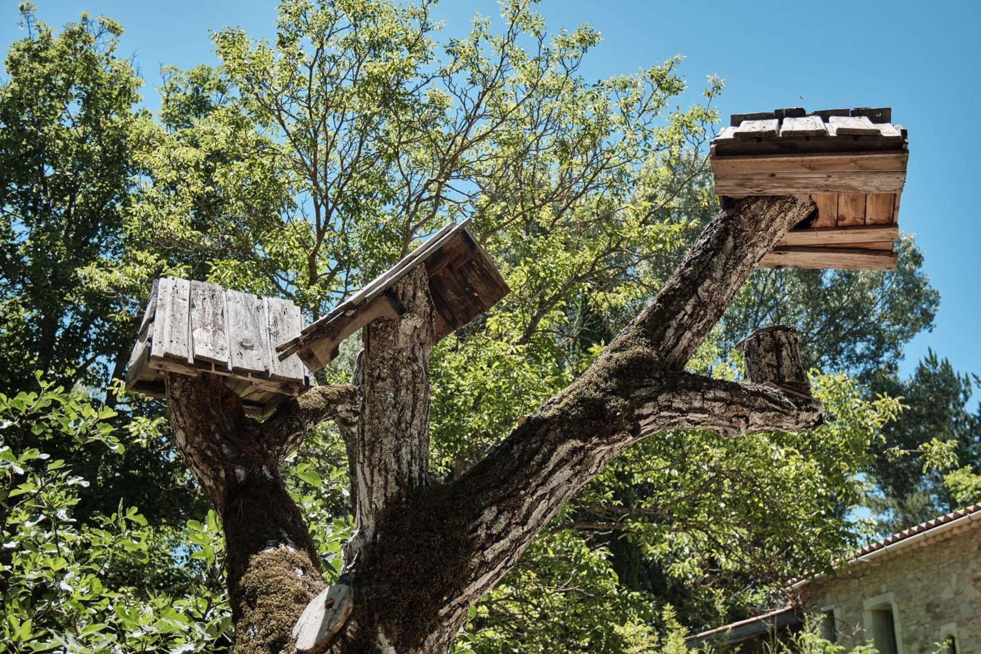 Les Maisons De Chante Oiseau Sigonce Екстериор снимка